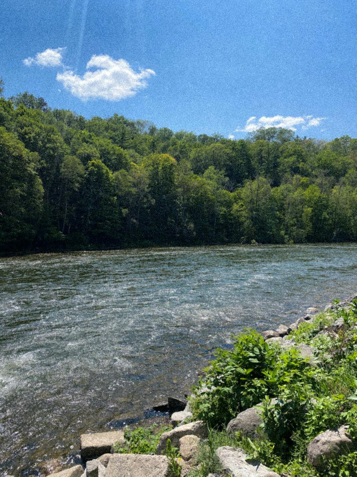 A wooded river.